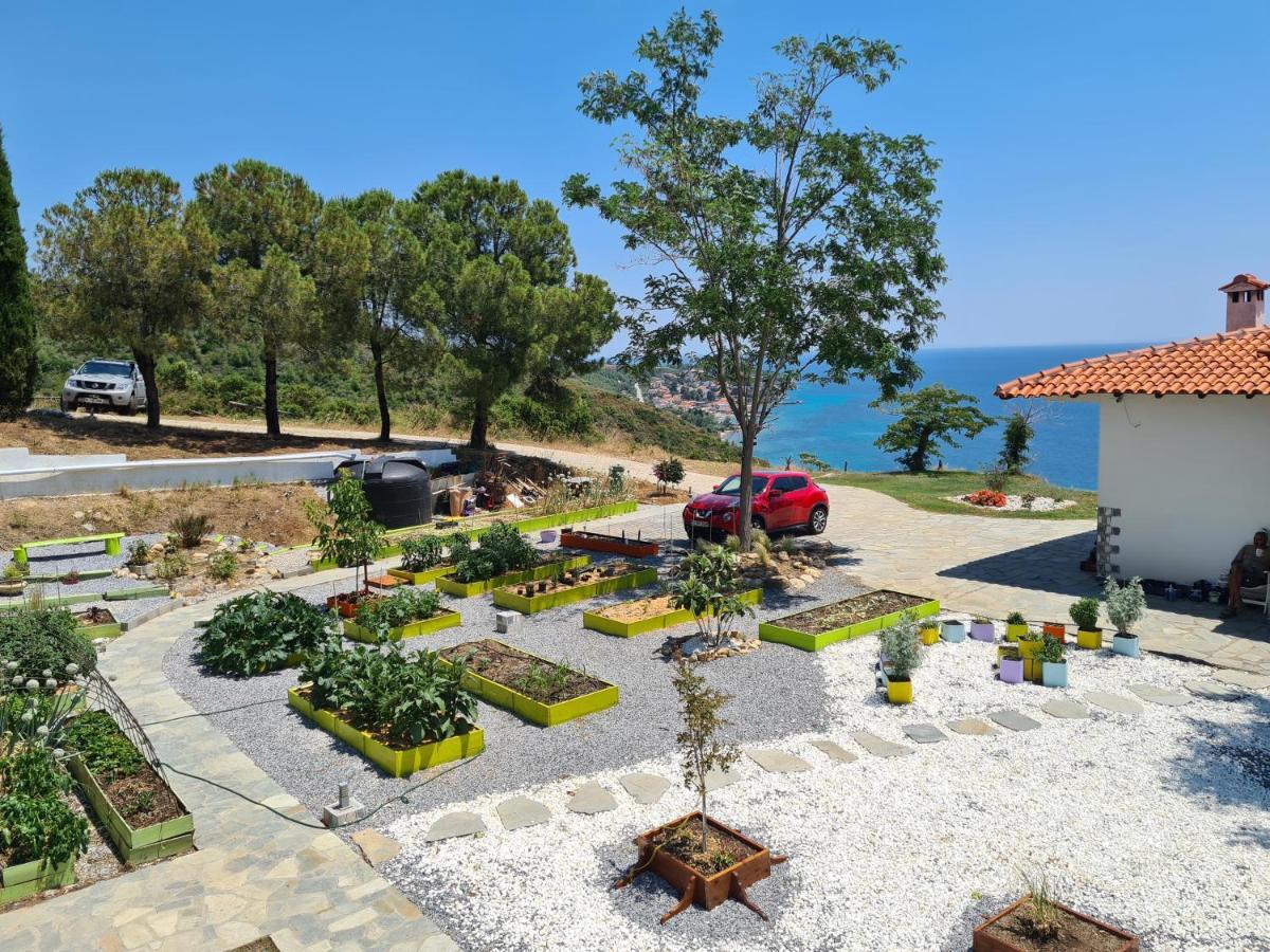 Greco Paradise Suites - Adult Only Nea Skioni Esterno foto